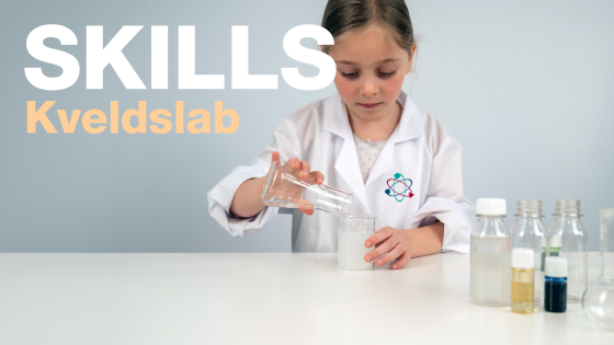 En dag på skills kveldlab